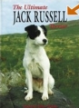 The Ultimate Jack Russell Terrier