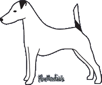 foxteriér
